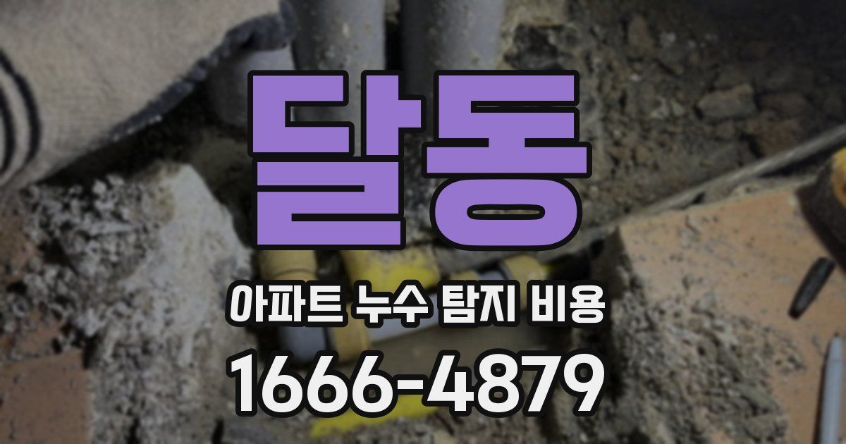 달동 아파트 누수 탐지 비용