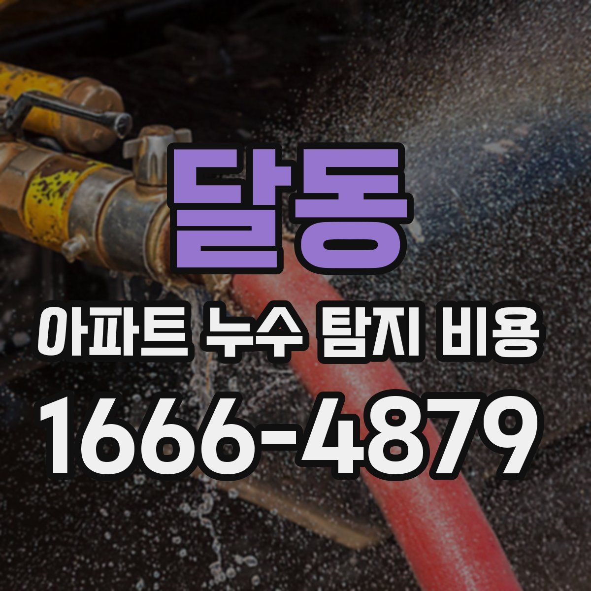 달동 아파트 누수 탐지 비용