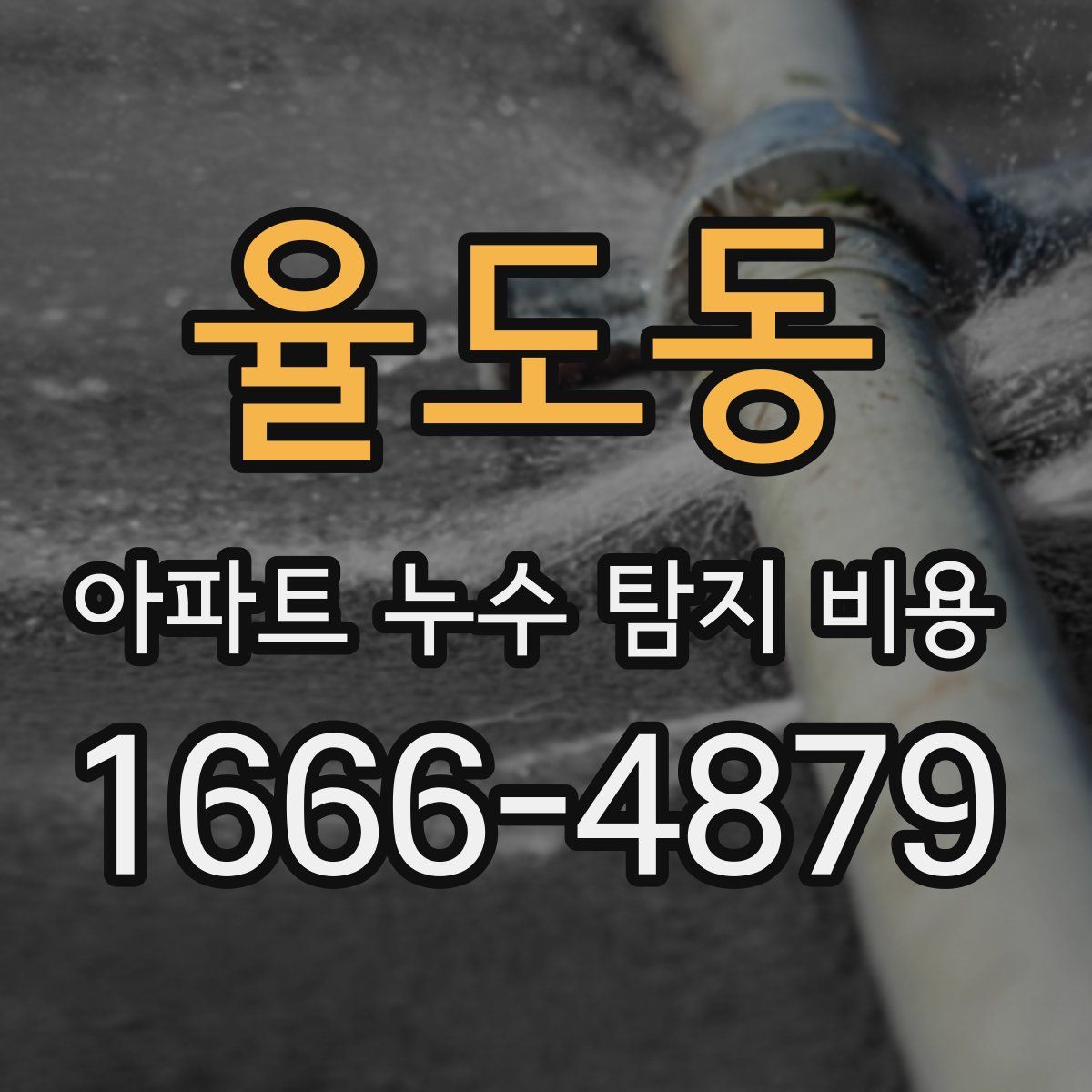 율도동 아파트 누수 탐지 비용