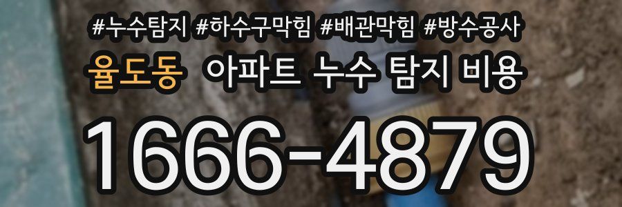 율도동 아파트 누수 탐지 비용
