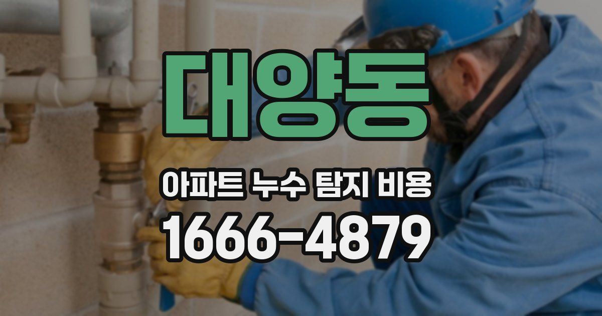 대양동 아파트 누수 탐지 비용