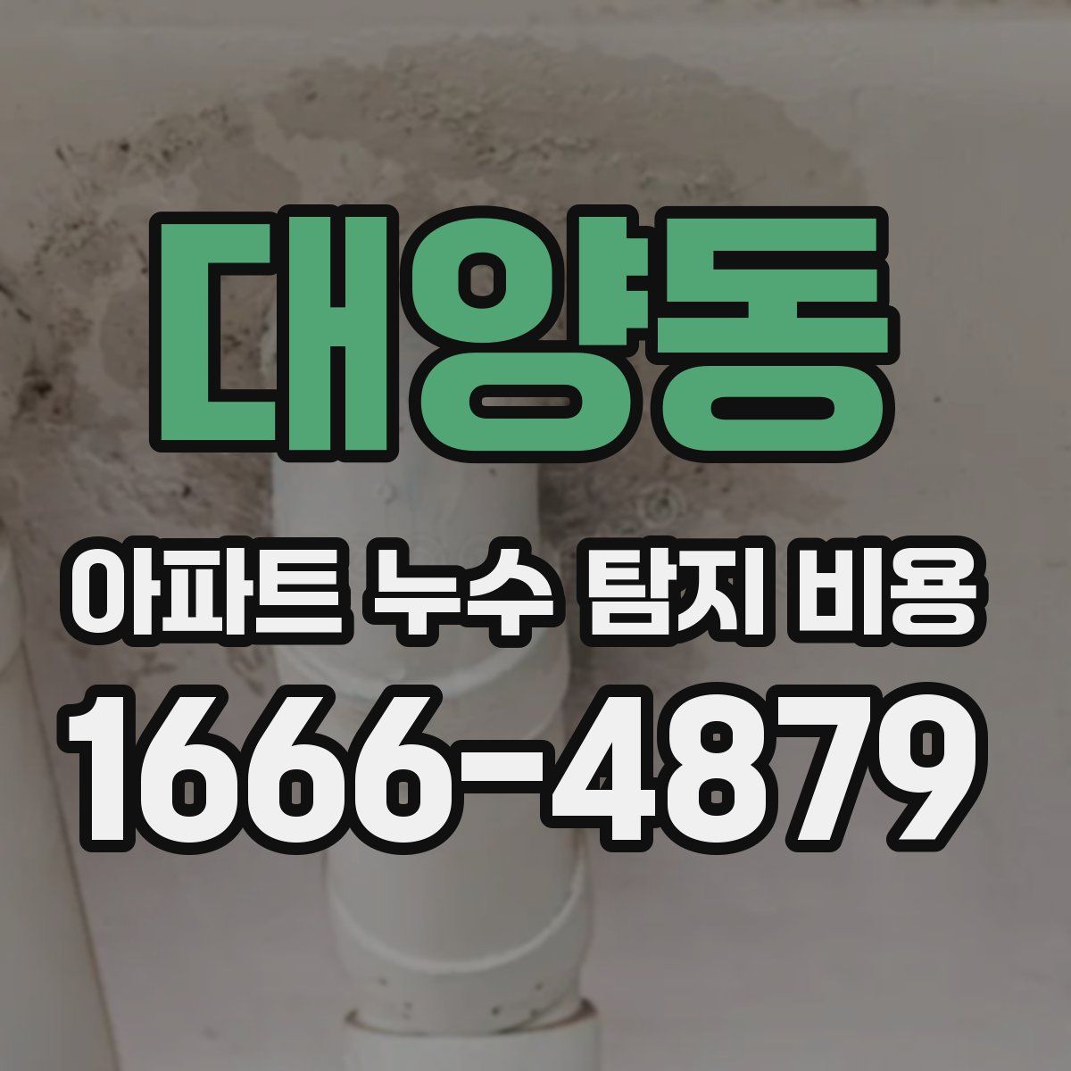 대양동 아파트 누수 탐지 비용