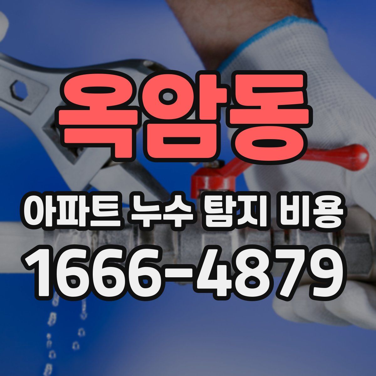 옥암동 아파트 누수 탐지 비용