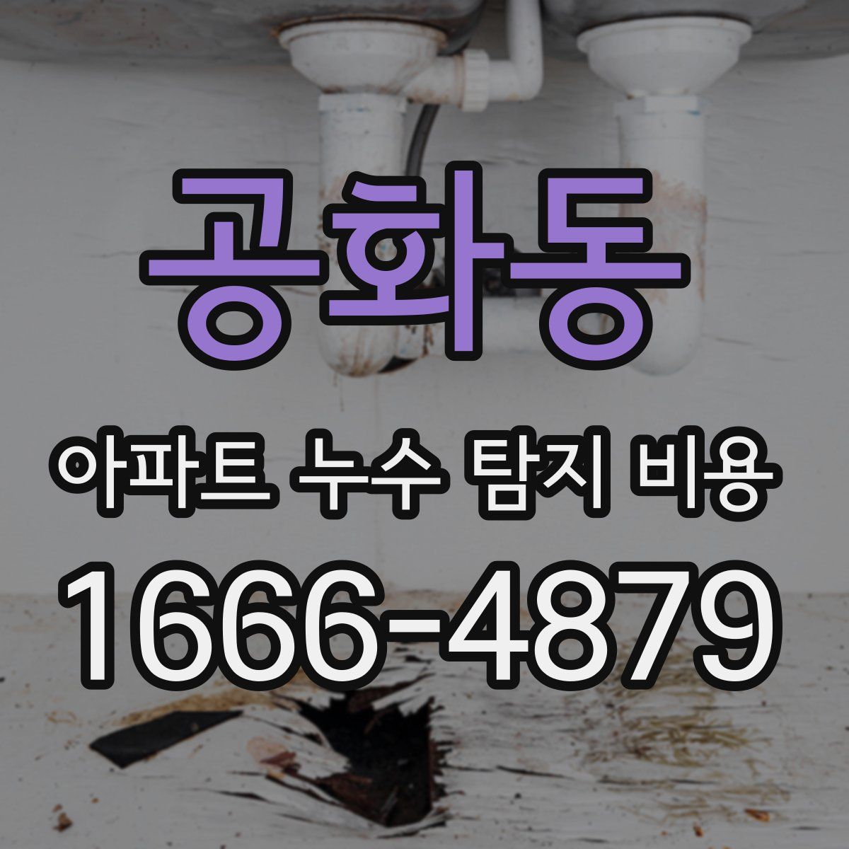 공화동 아파트 누수 탐지 비용