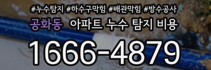 공화동 아파트 누수 탐지 비용
