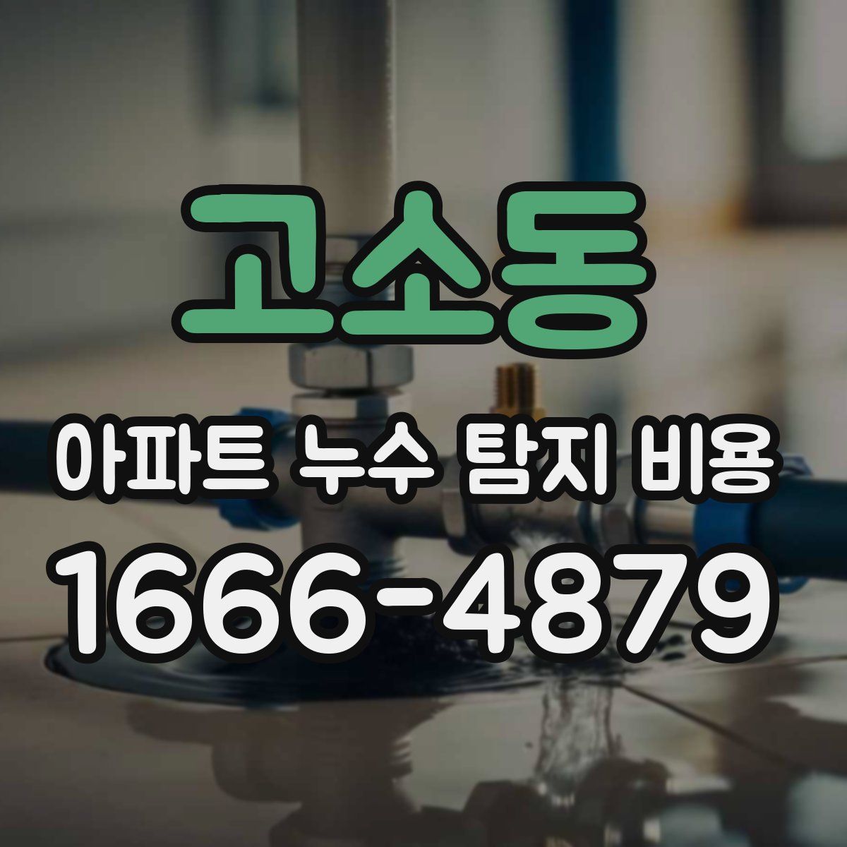 고소동 아파트 누수 탐지 비용