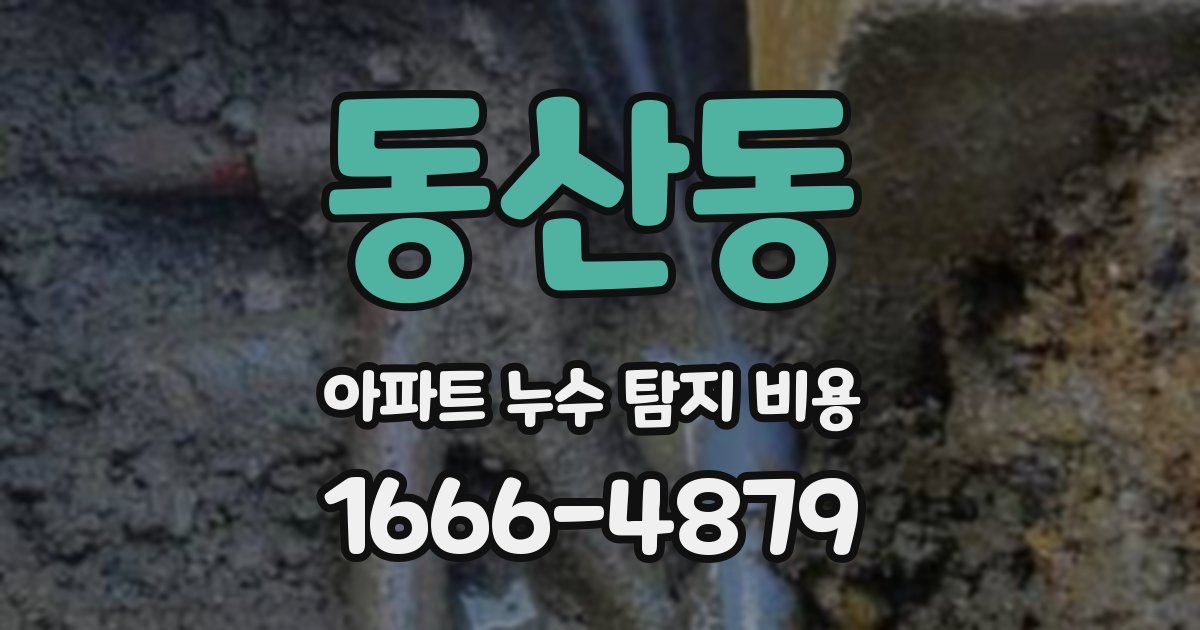 동산동 아파트 누수 탐지 비용