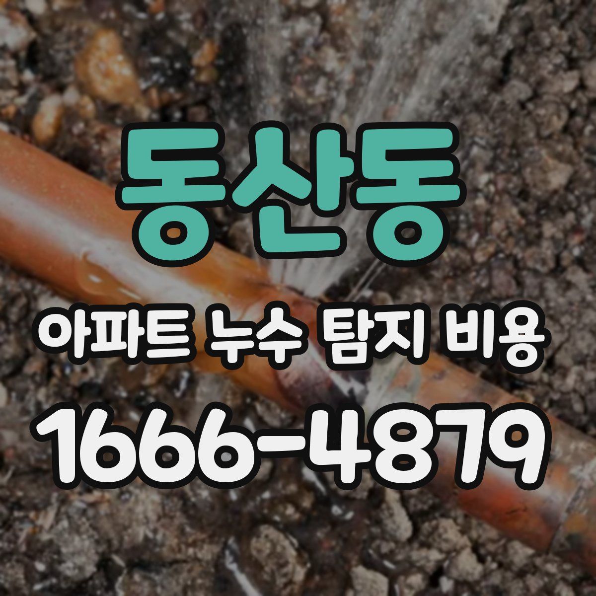 동산동 아파트 누수 탐지 비용