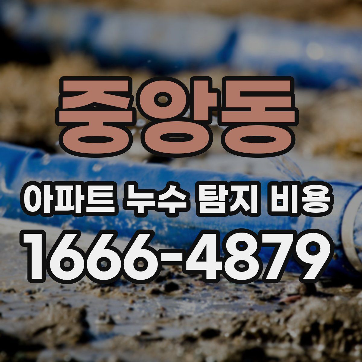 중앙동 아파트 누수 탐지 비용
