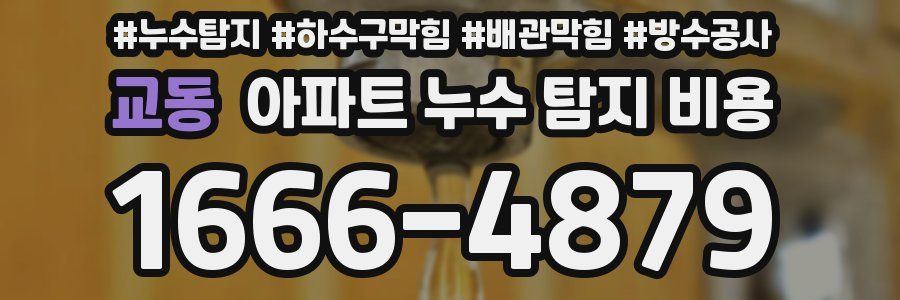 교동 아파트 누수 탐지 비용
