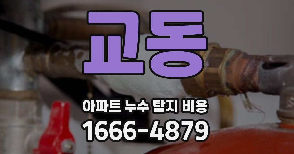 교동 아파트 누수 탐지 비용