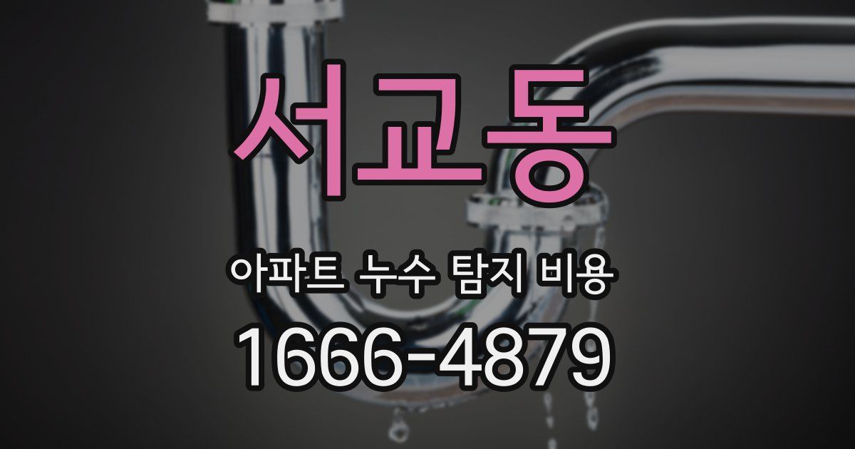 서교동 아파트 누수 탐지 비용