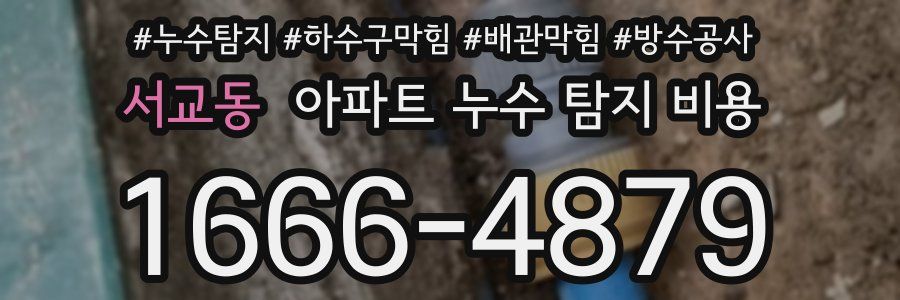 서교동 아파트 누수 탐지 비용