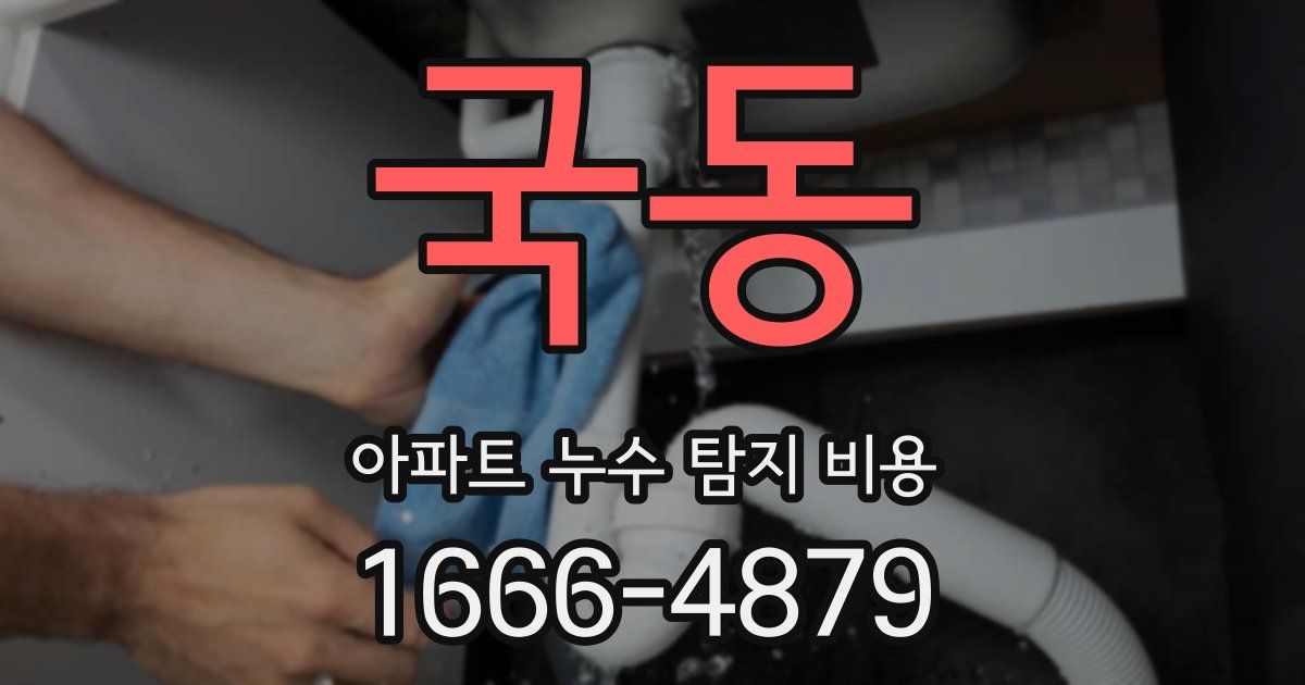 국동 아파트 누수 탐지 비용