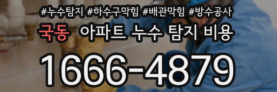 국동 아파트 누수 탐지 비용