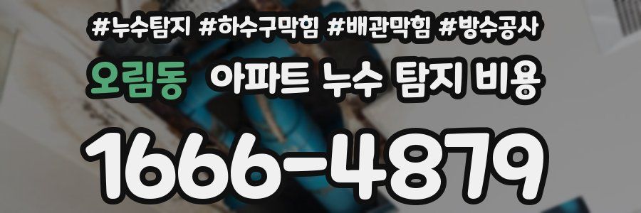 오림동 아파트 누수 탐지 비용