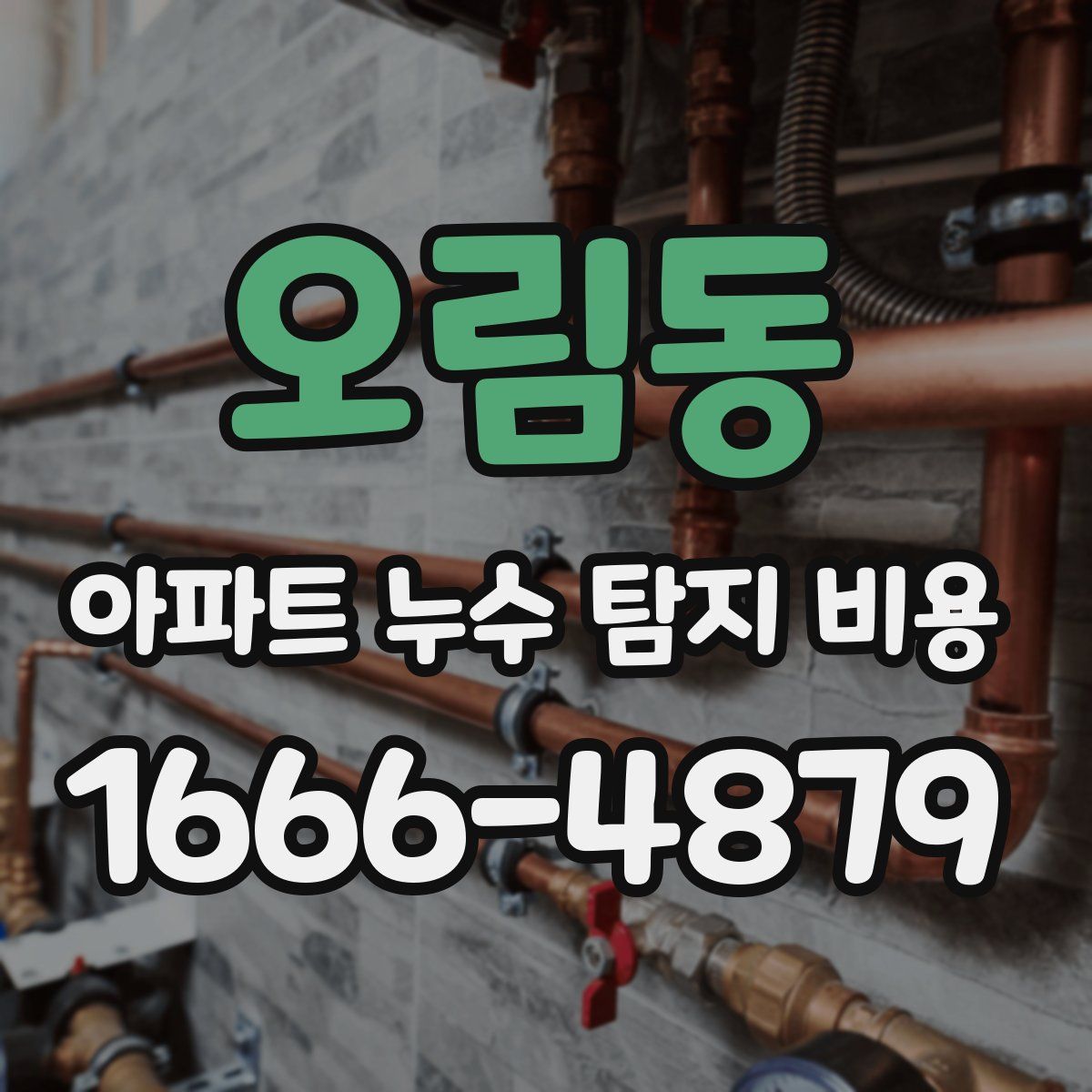 오림동 아파트 누수 탐지 비용