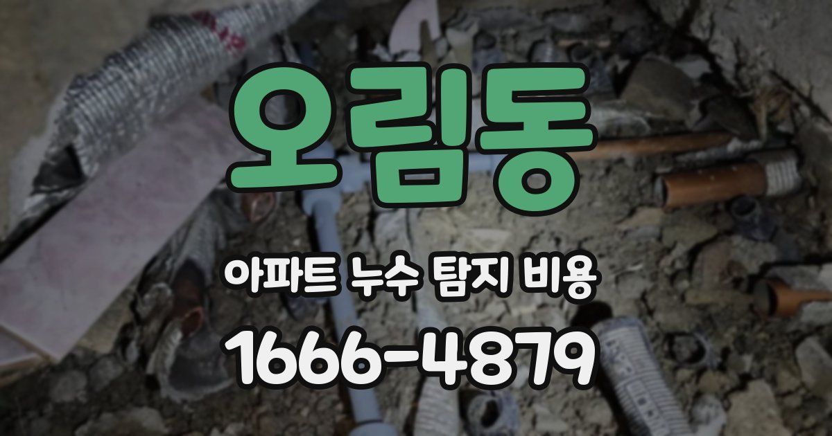 오림동 아파트 누수 탐지 비용