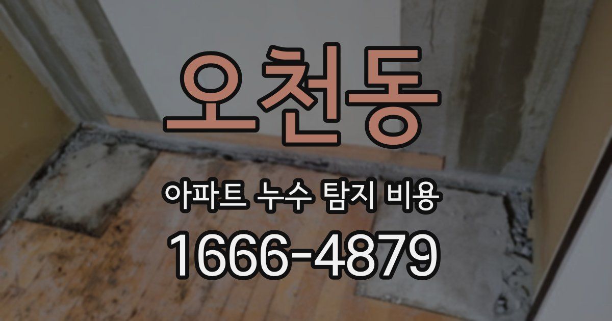 오천동 아파트 누수 탐지 비용