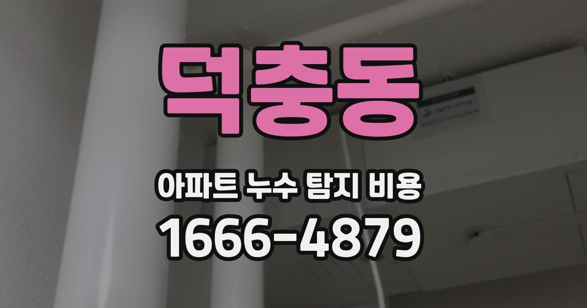 덕충동 아파트 누수 탐지 비용