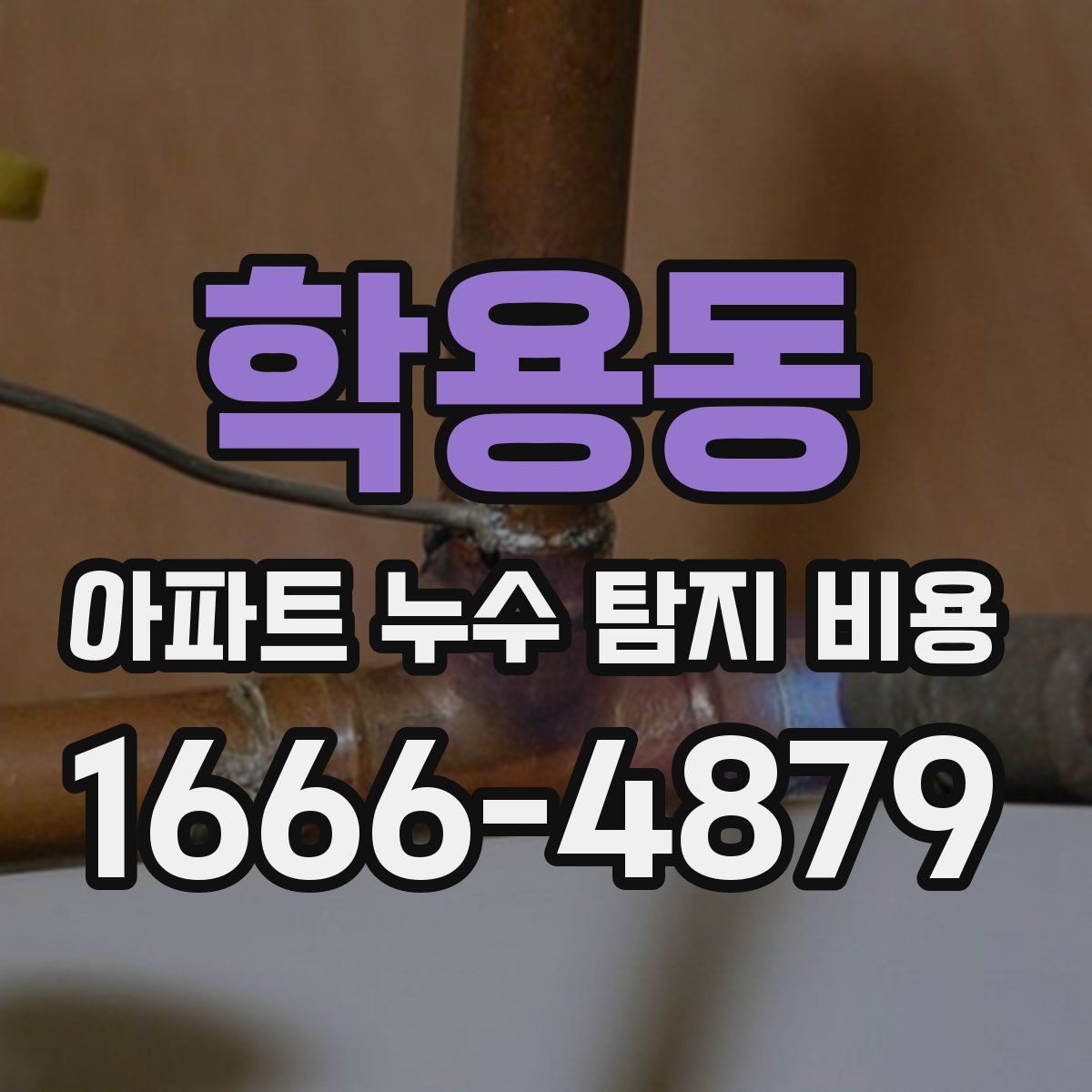 학용동 아파트 누수 탐지 비용