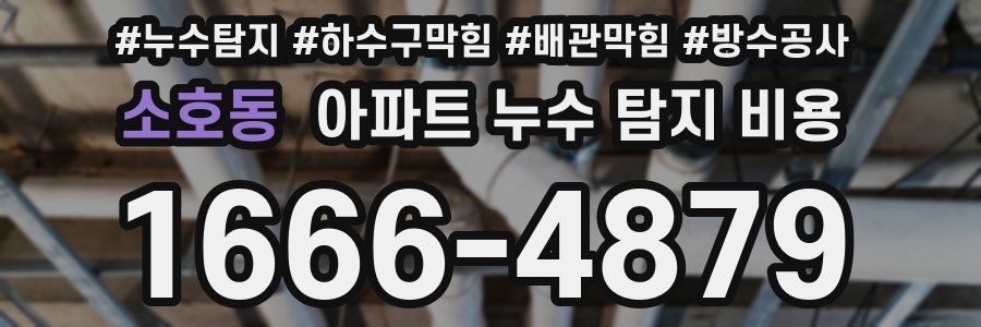 소호동 아파트 누수 탐지 비용