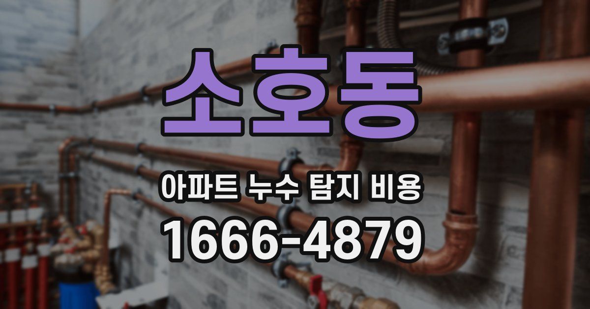 소호동 아파트 누수 탐지 비용