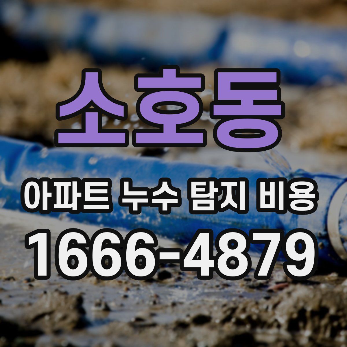 소호동 아파트 누수 탐지 비용