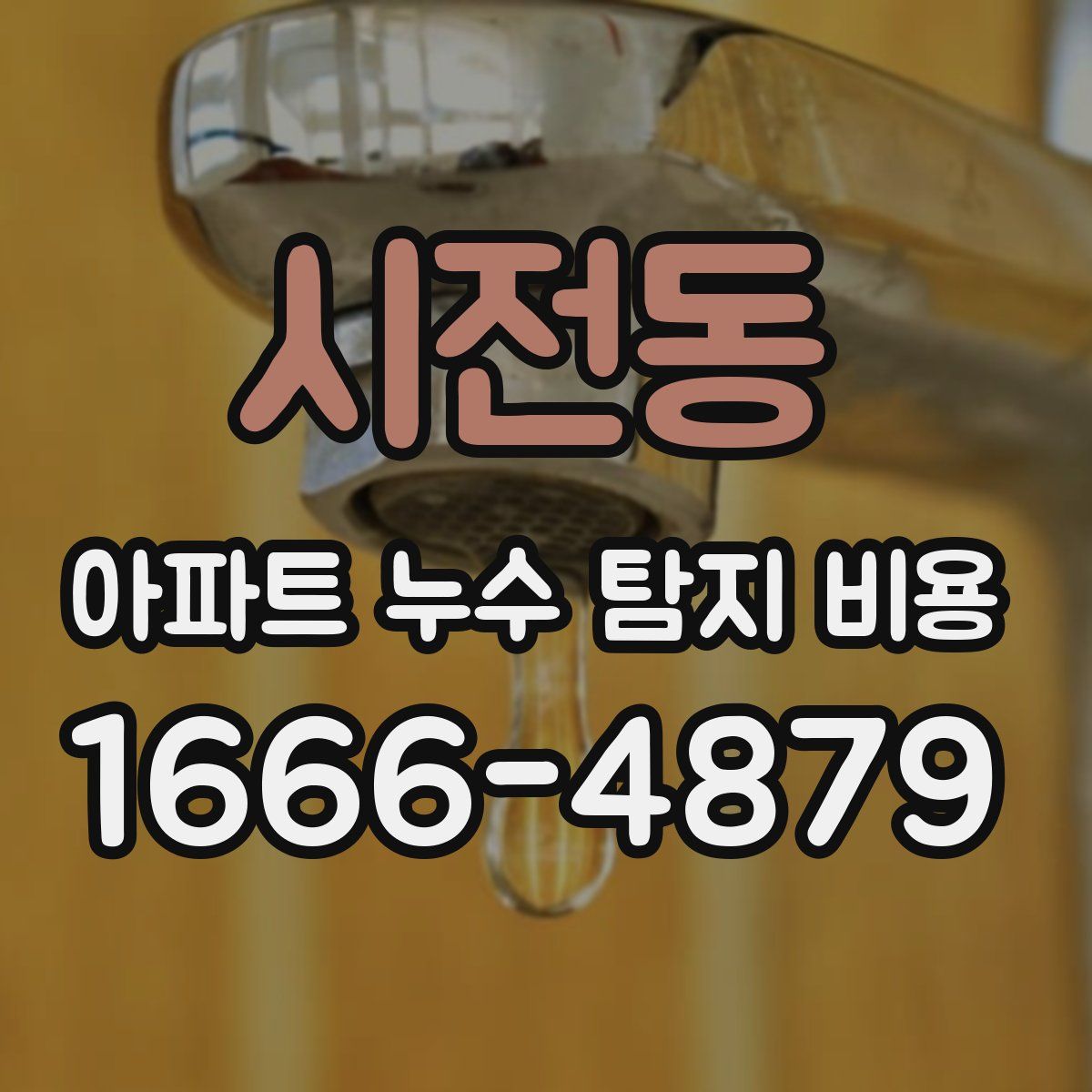시전동 아파트 누수 탐지 비용