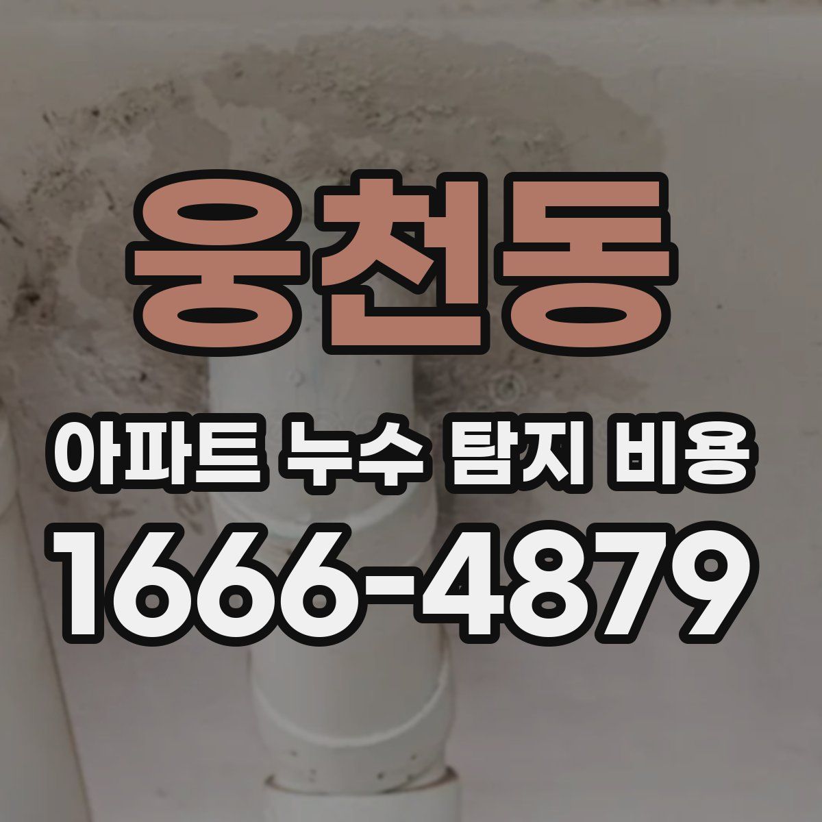 웅천동 아파트 누수 탐지 비용