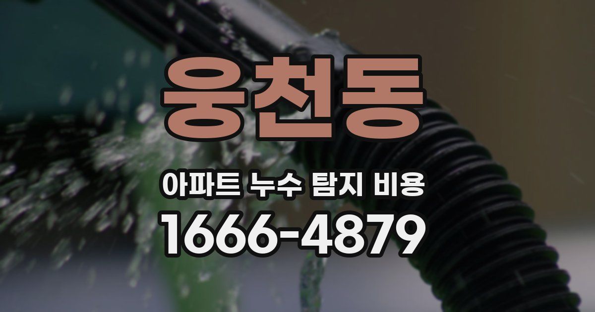 웅천동 아파트 누수 탐지 비용