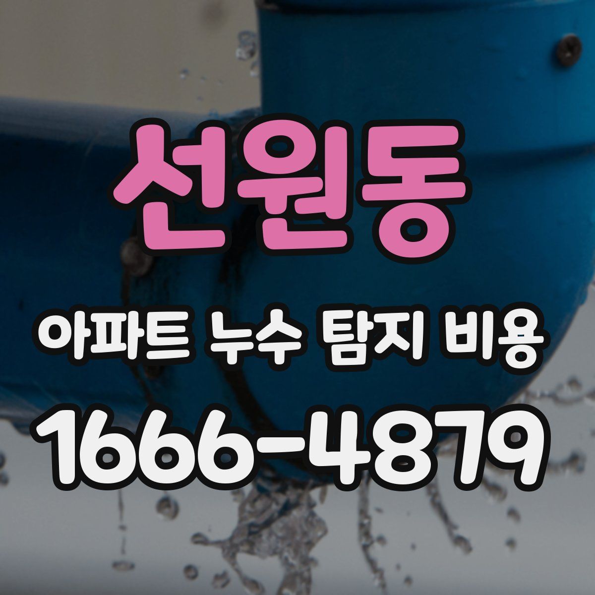 선원동 아파트 누수 탐지 비용