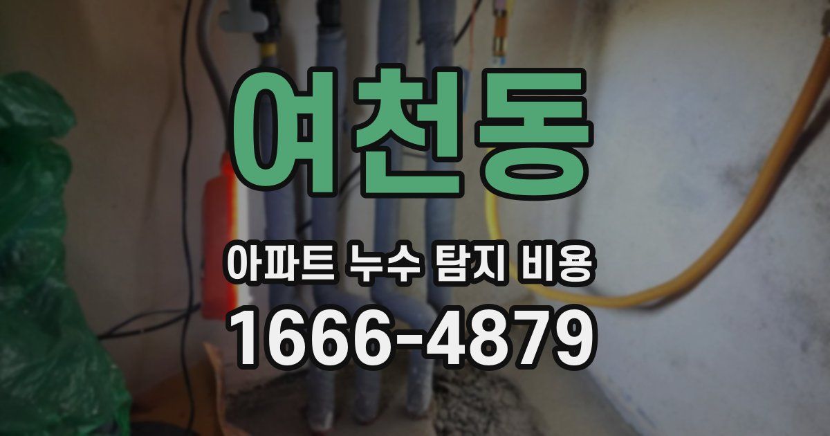 여천동 아파트 누수 탐지 비용