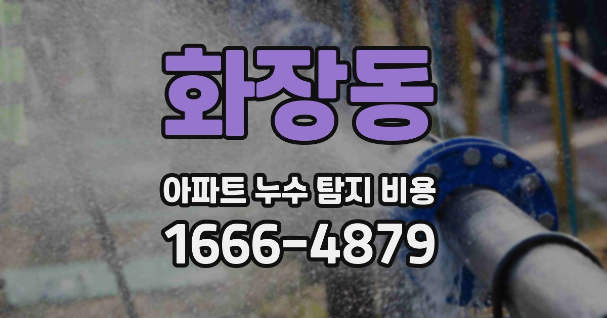 화장동 아파트 누수 탐지 비용