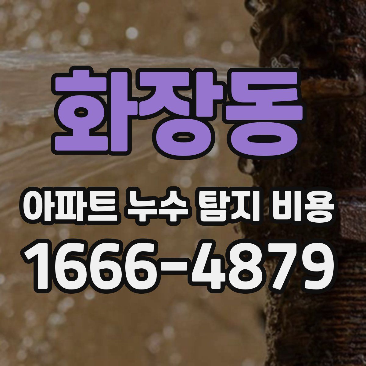 화장동 아파트 누수 탐지 비용