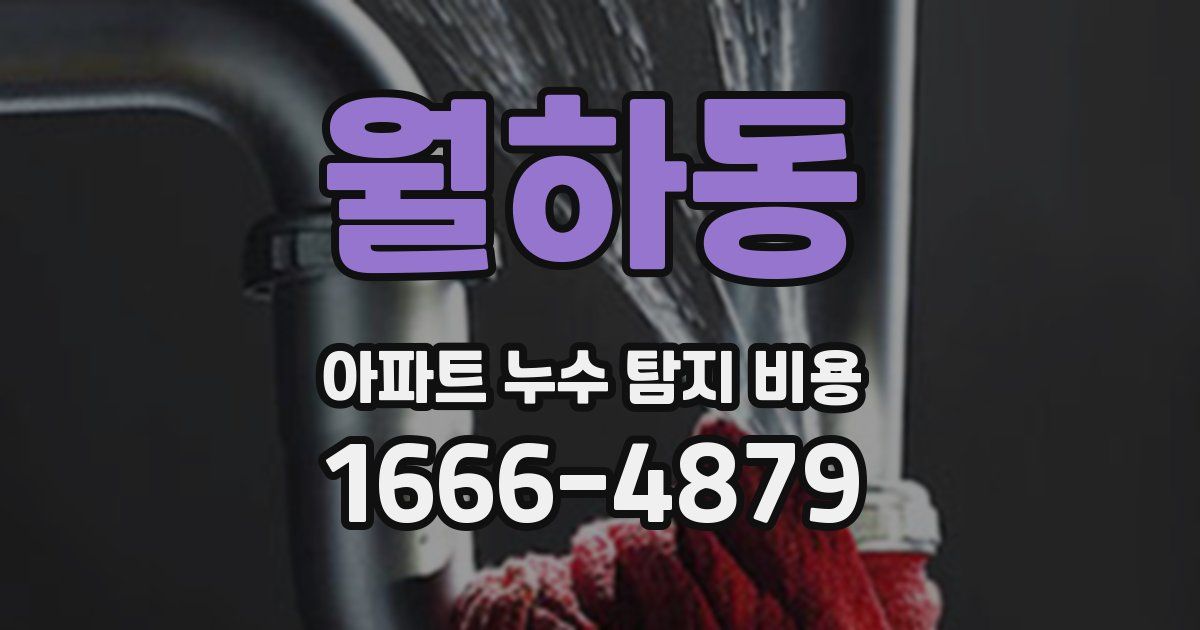 월하동 아파트 누수 탐지 비용