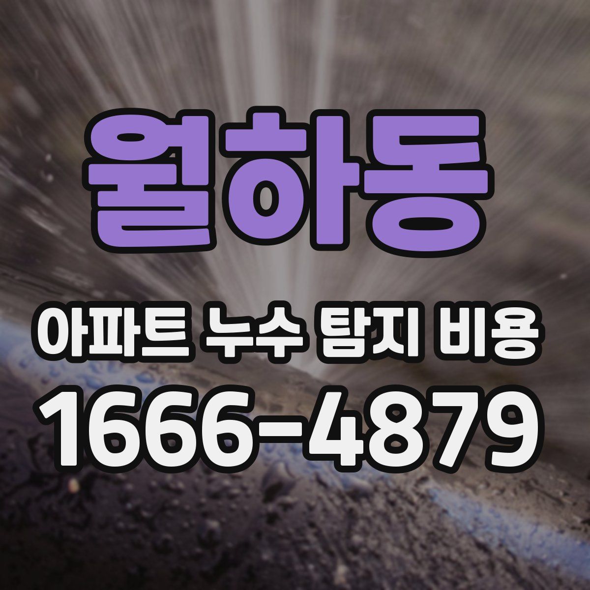 월하동 아파트 누수 탐지 비용