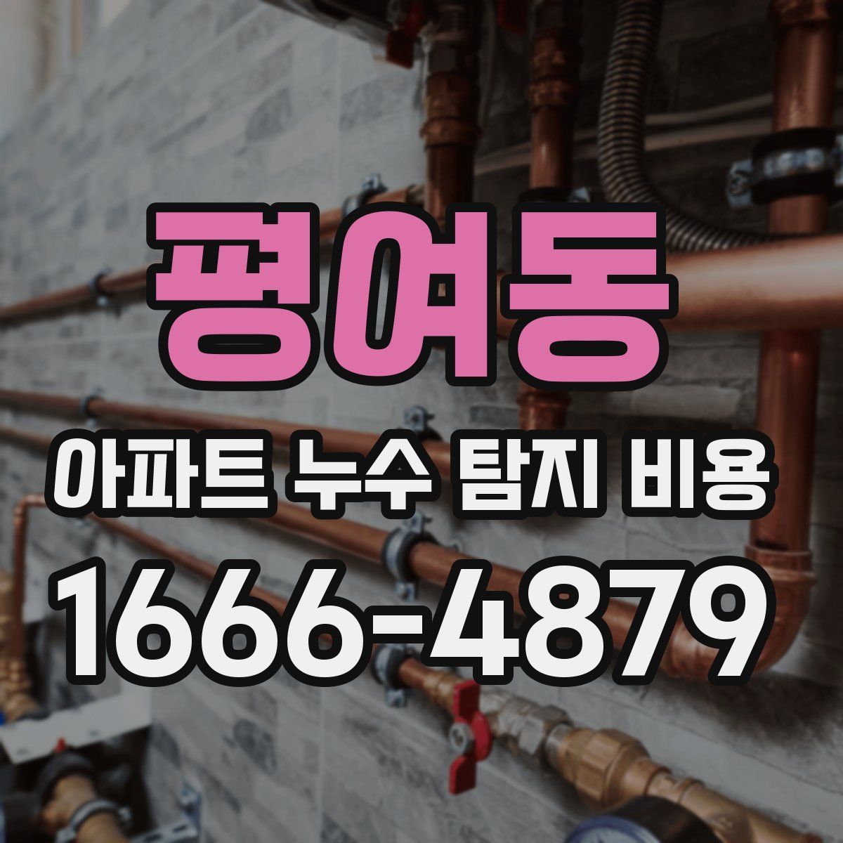 평여동 아파트 누수 탐지 비용