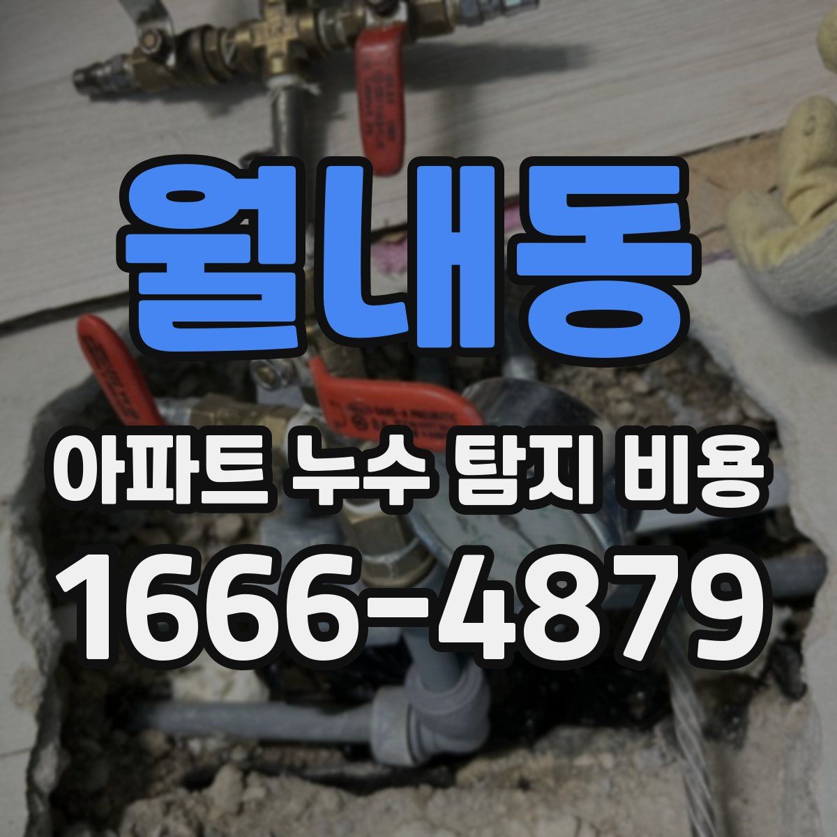 월내동 아파트 누수 탐지 비용