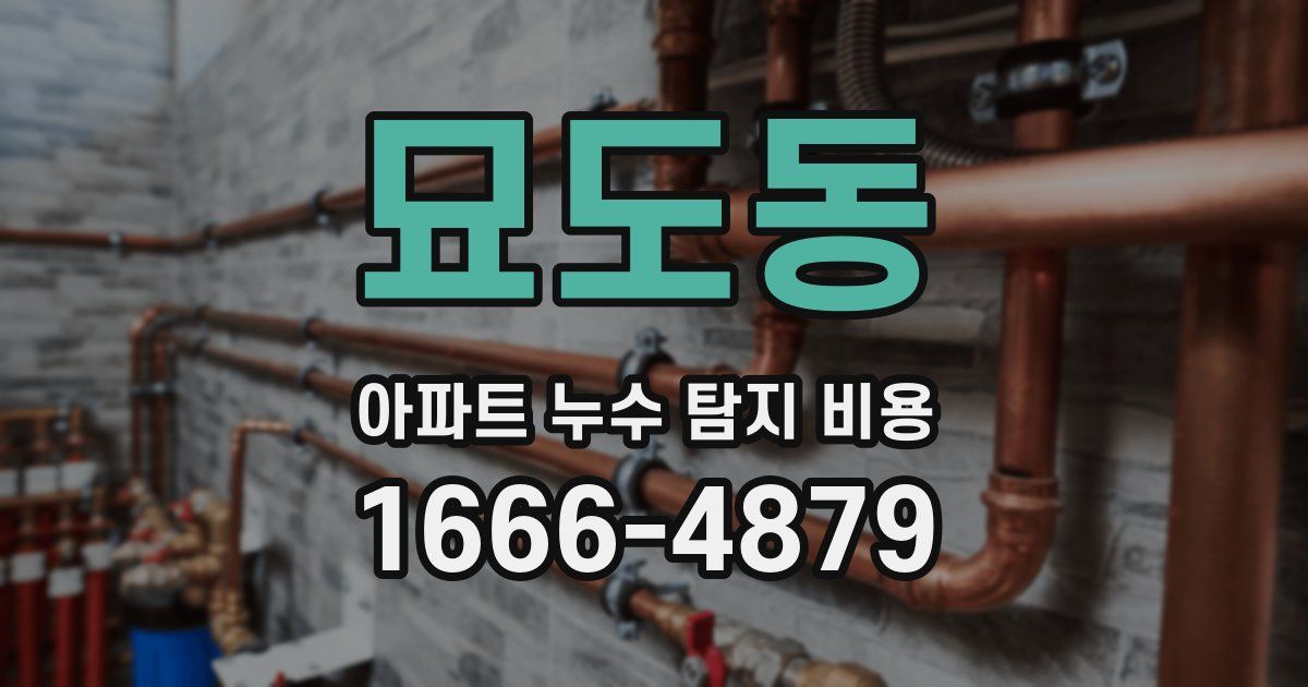 묘도동 아파트 누수 탐지 비용