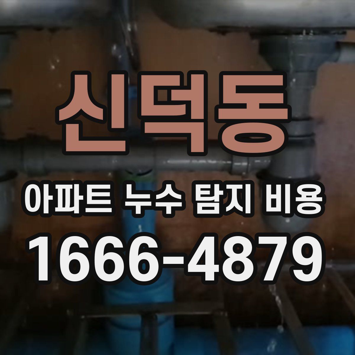 신덕동 아파트 누수 탐지 비용