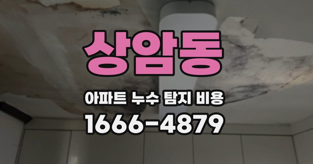 상암동 아파트 누수 탐지 비용