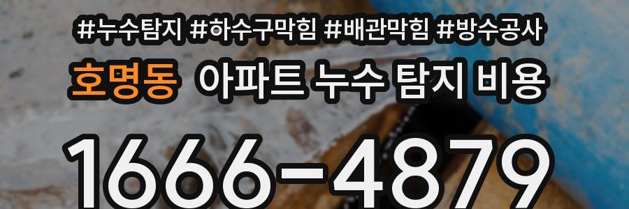 호명동 아파트 누수 탐지 비용