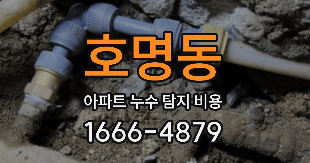 호명동 아파트 누수 탐지 비용