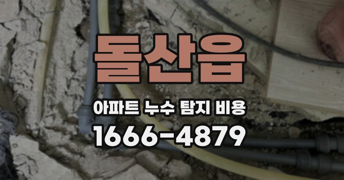 돌산읍 아파트 누수 탐지 비용