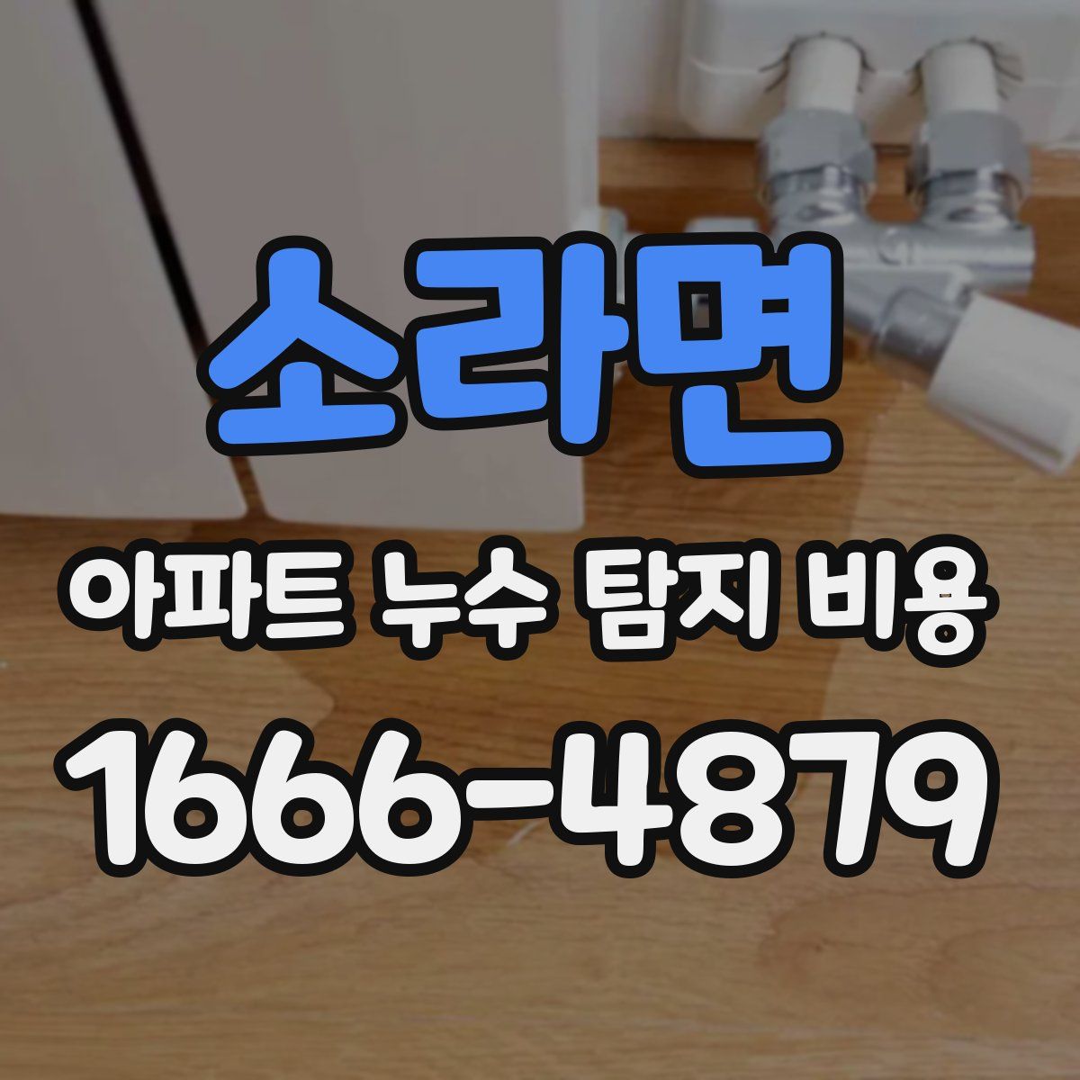 소라면 아파트 누수 탐지 비용