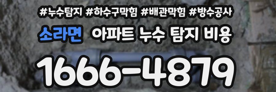 소라면 아파트 누수 탐지 비용