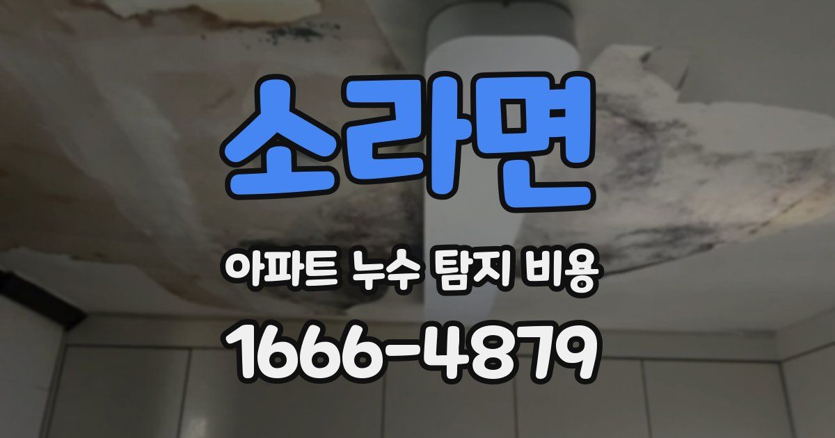 소라면 아파트 누수 탐지 비용