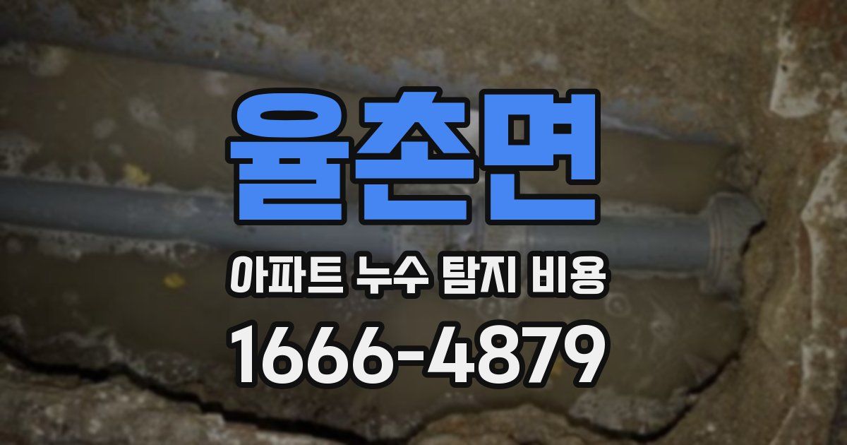 율촌면 아파트 누수 탐지 비용