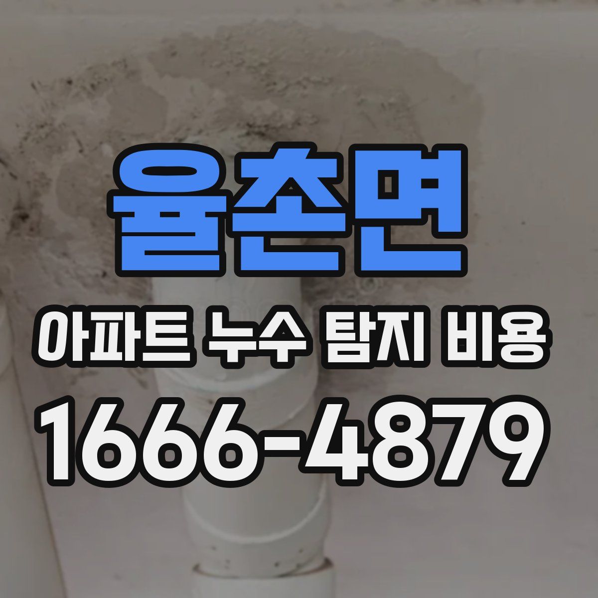 율촌면 아파트 누수 탐지 비용